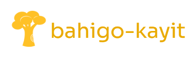 Bahigo Kayıt
